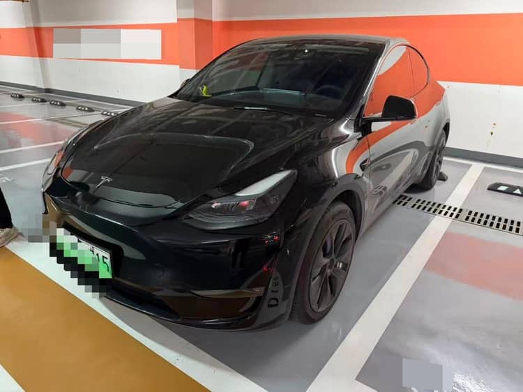 Model Y 2022 model modified long-life all-wheel drive version - View 1