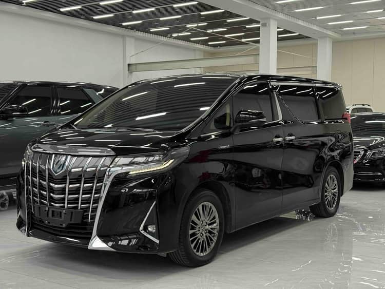 Erffa 2021 Double Engine 2.5L Deluxe Edition - View 1