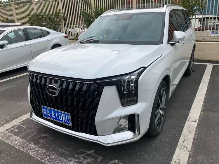 Chuanqi GS8 2022 Dual Qing Series 2.0TM Two-Drive Premium Edition (6 seats) - View 1