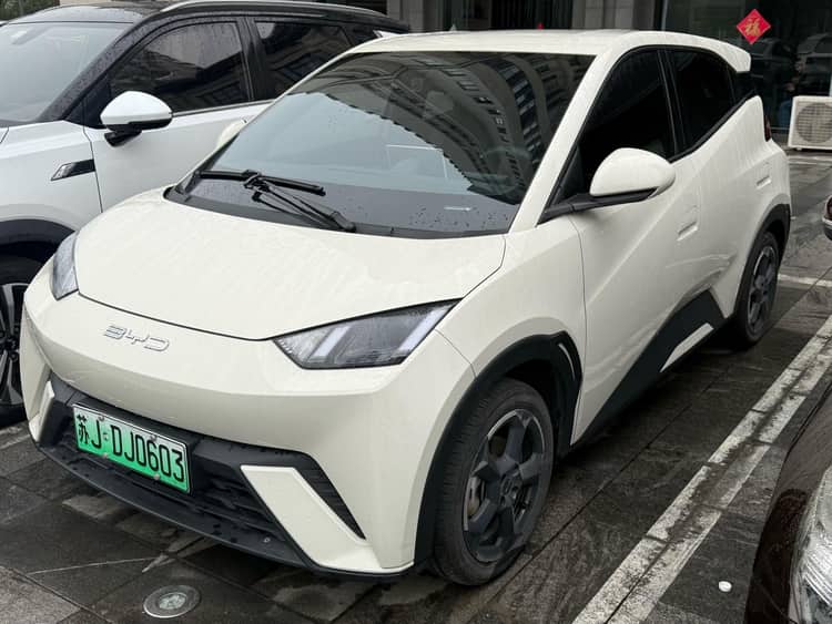 BYD 2023 seagull flying version automatic gear - View 1