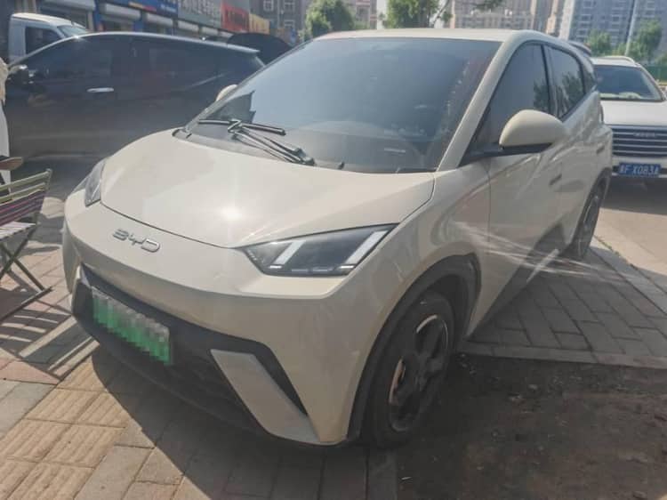 BYD 2024 Seagull Glory Edition 305km Free Version Automatic - View 1