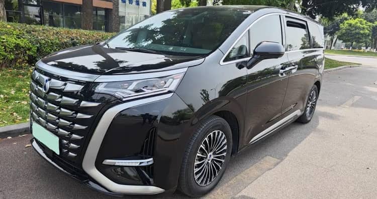 Denza 2022 Denza D9 DM-i 1.5T CVT 970 Four-Wheel-Drive Prestige Model Automatic - View 1