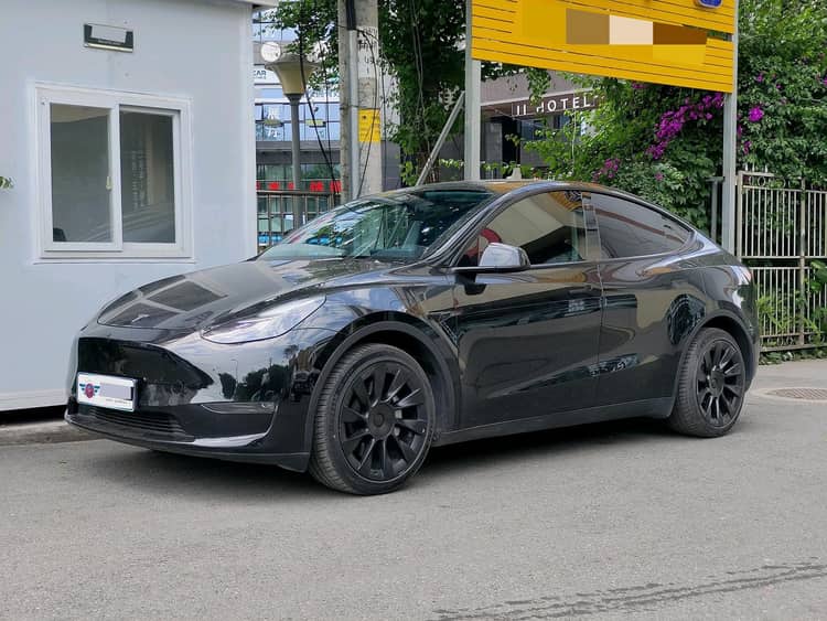 Model Y 2021 Standard Endurance Rear Drive Edition - View 1