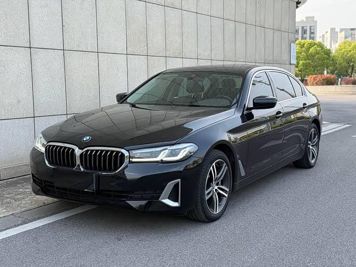 BMW 5 Series 2021 530Li Leading Luxury Suit - View 1