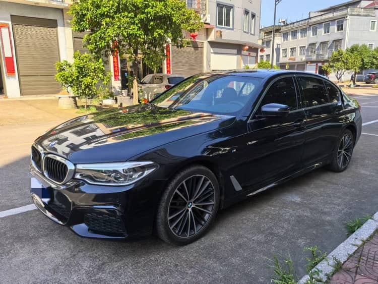 BMW 5 Series 2020 530Li Leading M Sports Suit - View 1