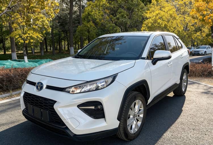 Wildlander 2022 Model Facelift 2.0L CVT Two-Wheel Drive Leading Edition - View 1