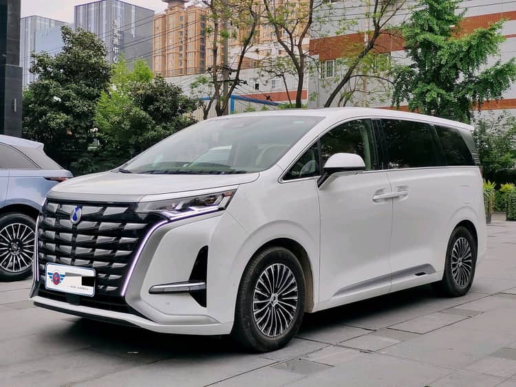 Denza D9 2022 DM-i 970 4-wheel drive Honor Model - View 1