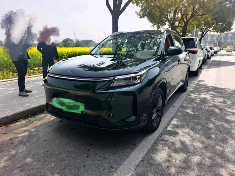 LanDian 2025 LanDian E5 PLUS 1.5 Stepless 165km Long Endurance First Edition 7-seat Automatic Gear - View 1