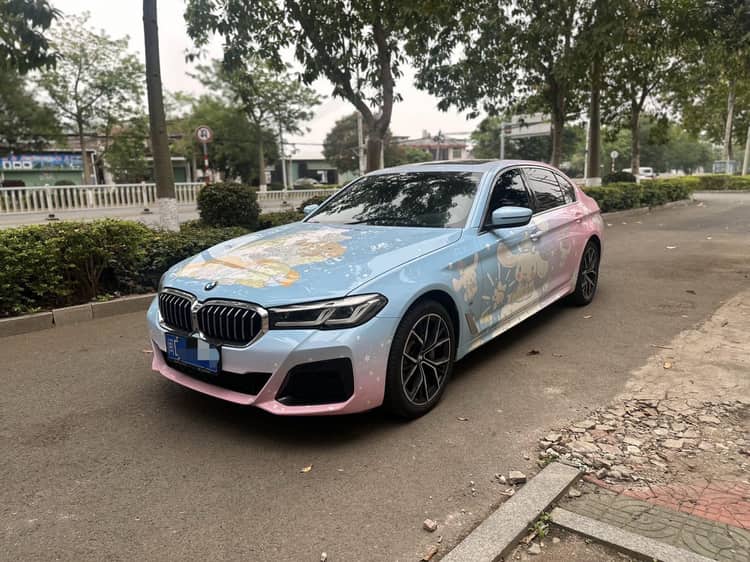 BMW 5 Series 2023 530Li 2.0T Premium Luxury Suit Automatic Gear - View 1