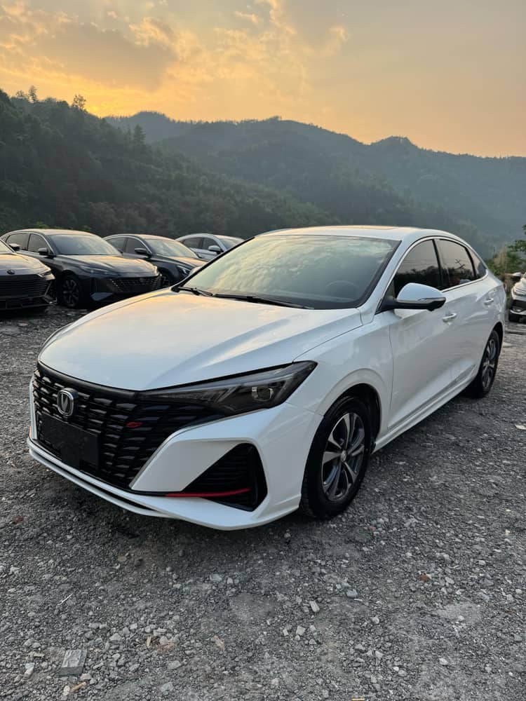 Yidong 2022 PLUS Blue Whale NE 1.4T GDI DCT Premium Edition - View 1