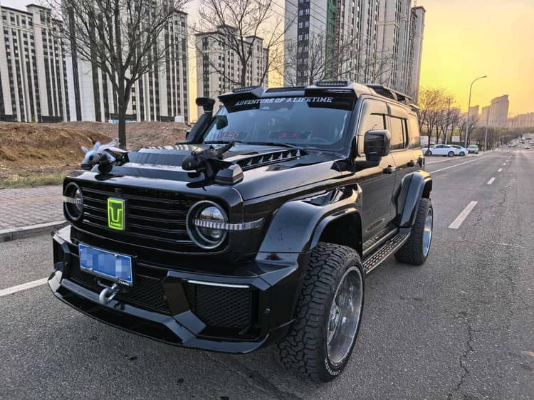 Tank 300 2022 2.0T Tank Ranger - View 1