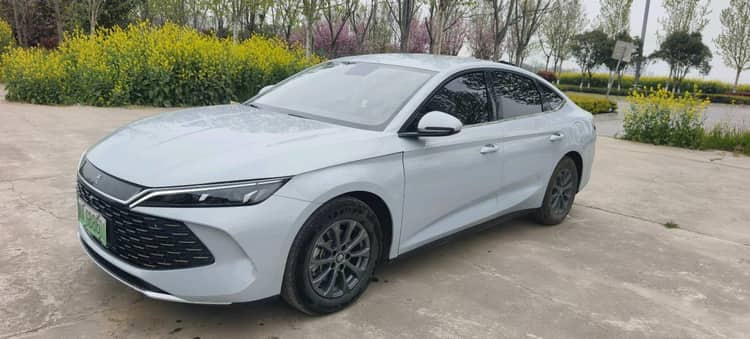 Qin L 2024 DM-i 80km Leading Edition - View 1