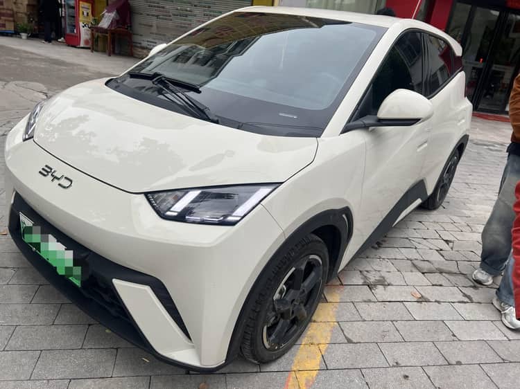 BYD 2025 Seagull 405km Flying Edition Automatic Gear - View 1