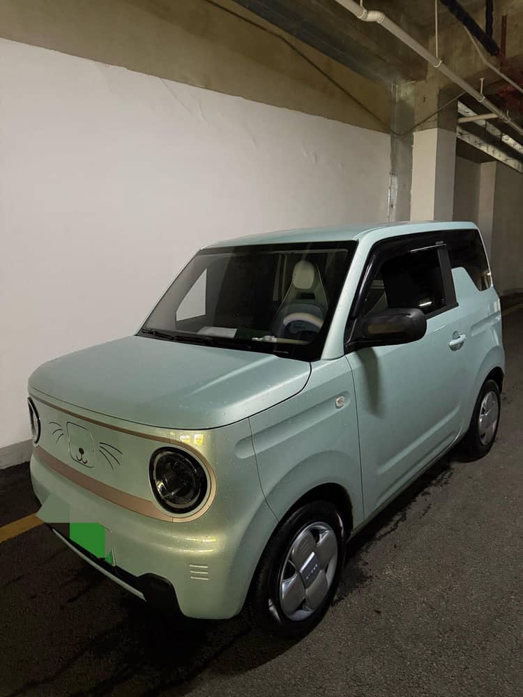 Panda 2023 panda mini 200km endurance bear - View 1