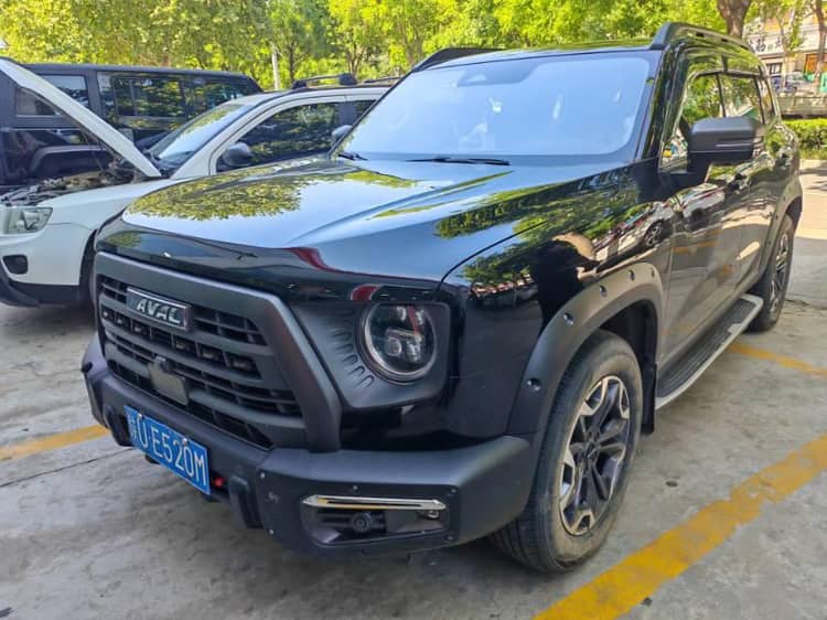 Haval Big Dog 2022 2.0T DCT Four-wheel Drive Chinese Garden Dog Hunting Edition - View 1