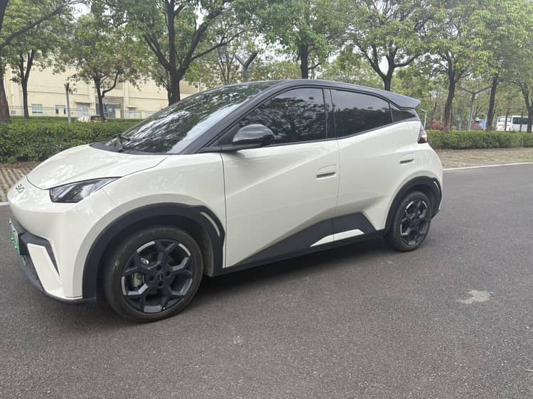 BYD 2023 Seagull Free Edition Automatic - View 1