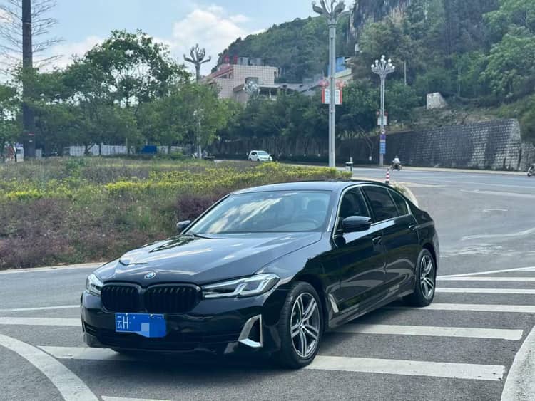 BMW 5 Series 2021 530Li 2.0T Leading Luxury Suit Automatic Gear - View 1