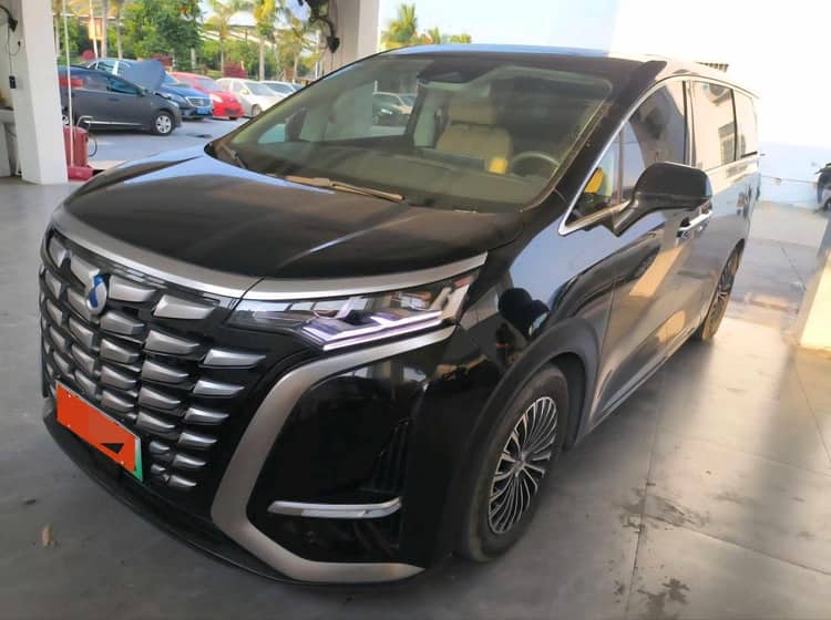 Denza 2024 Denza D9 DM-i 1.5T stepless 970 luxury automatic gear - View 1