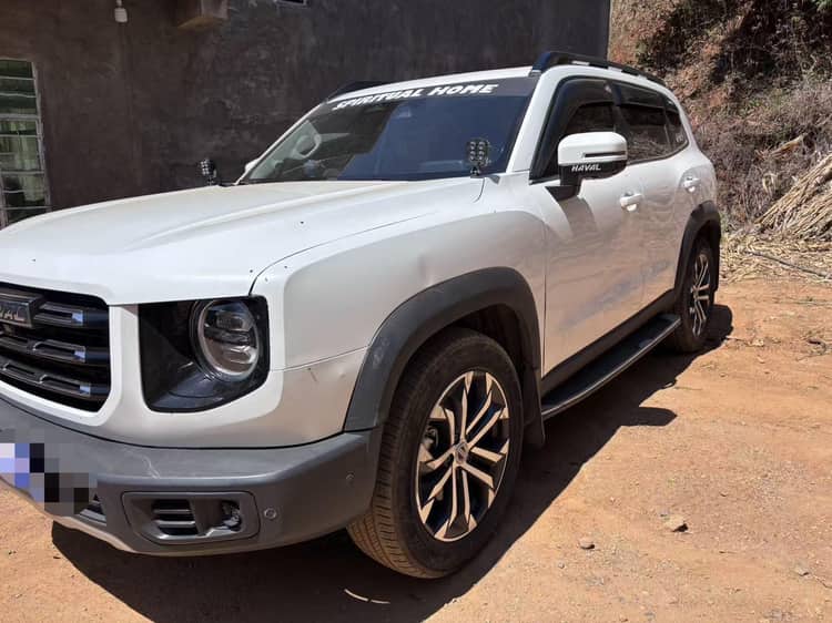 Haval 2021 Big Dog 1.5T Horse Dog Wangcai Edition Automatic Gear - View 1
