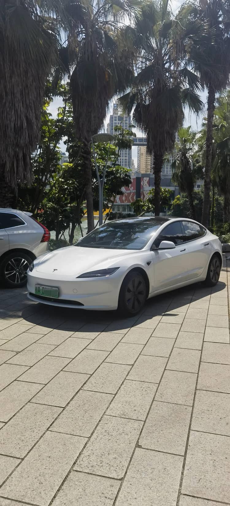 Model 3 2023 Rear-Wheel Drive Edition - View 1
