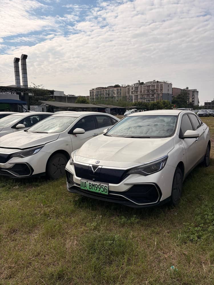 Venucia D60 New Energy 2023 D60 PLUS EV Comfort SI Automatic Gear - View 1