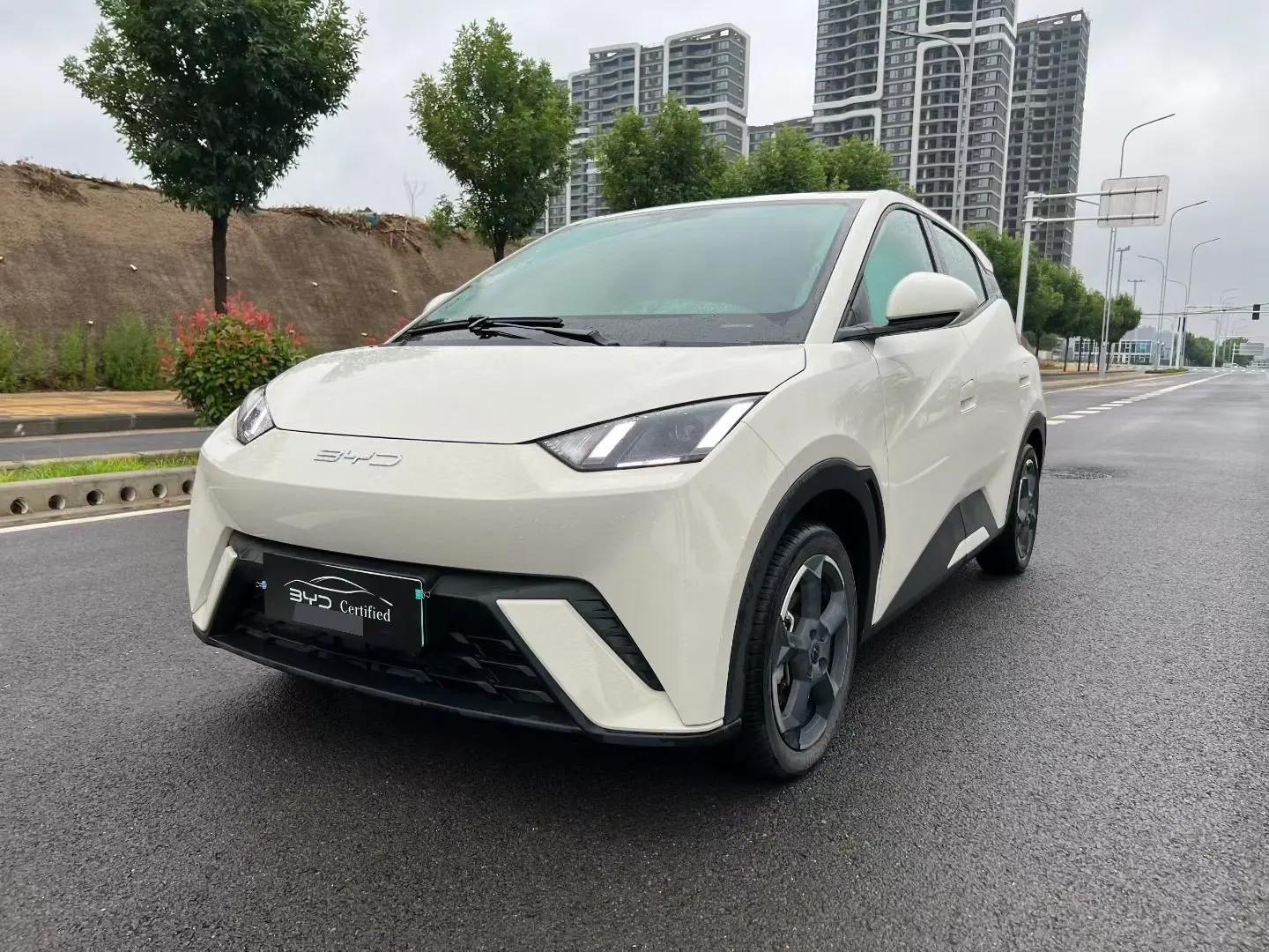 BYD 2024 Seagull Glory Edition 405km Flying Edition Automatic Gear