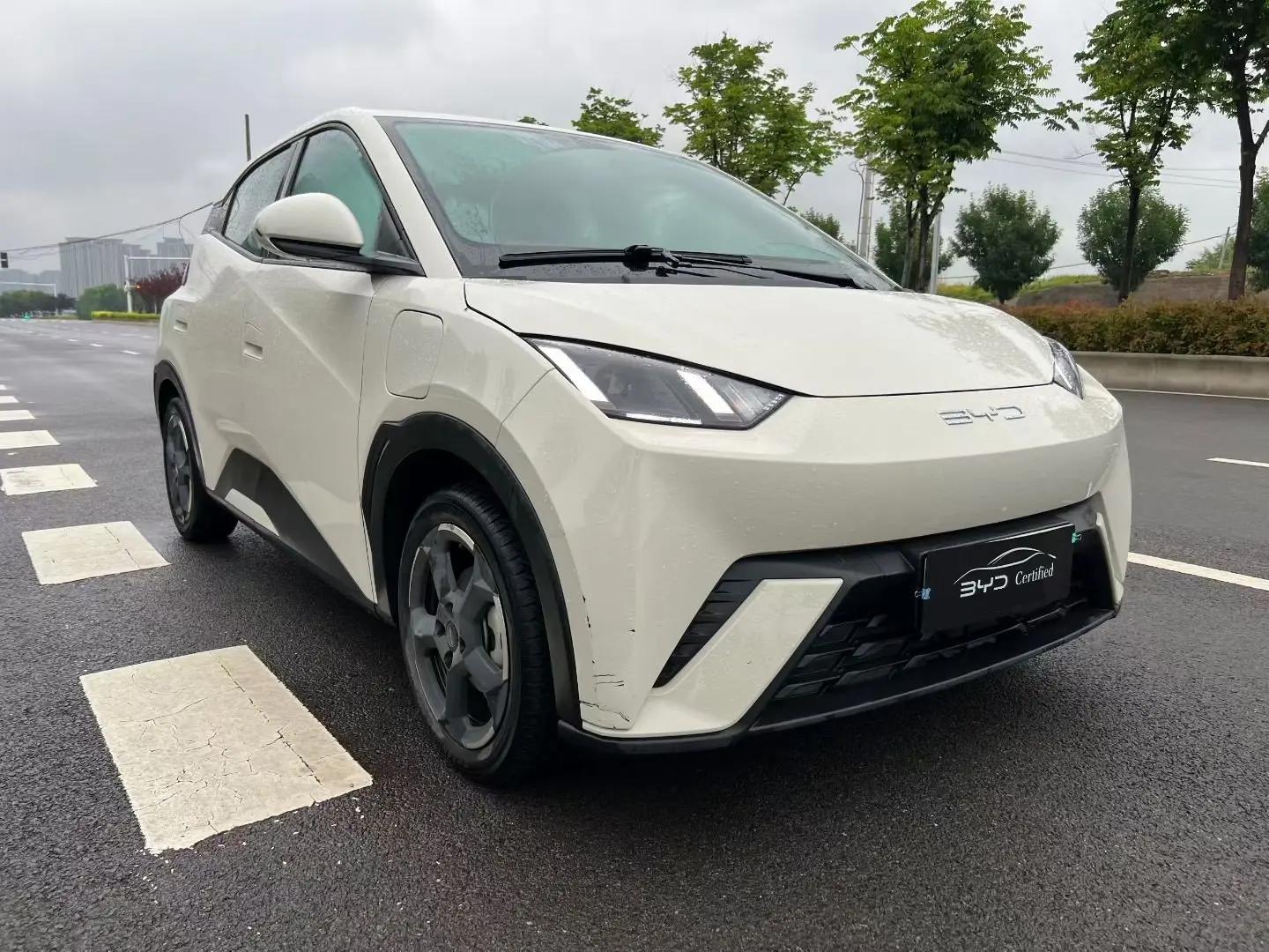 BYD 2024 Seagull Glory Edition 405km Flying Edition Automatic Gear 3