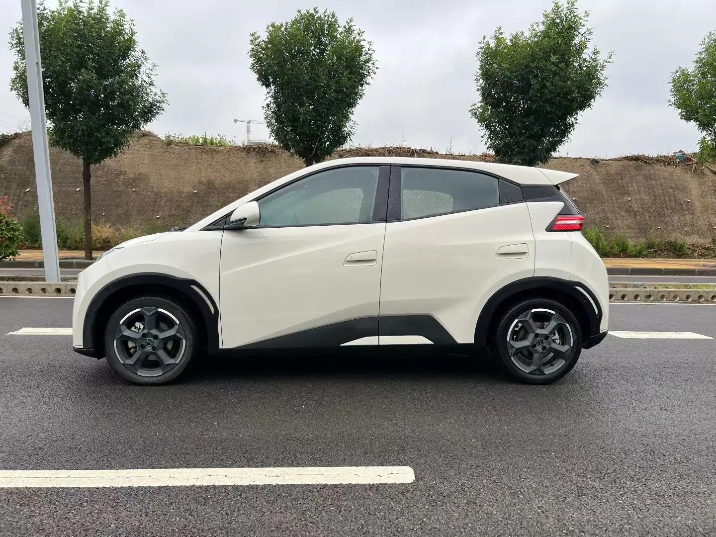 BYD 2024 Seagull Glory Edition 405km Flying Edition Automatic Gear 8