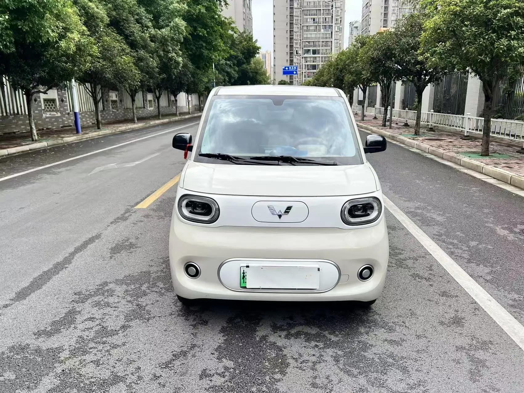 WuLing 2024 HongGuang MINI EV 215km Youth Edition Automatic 2