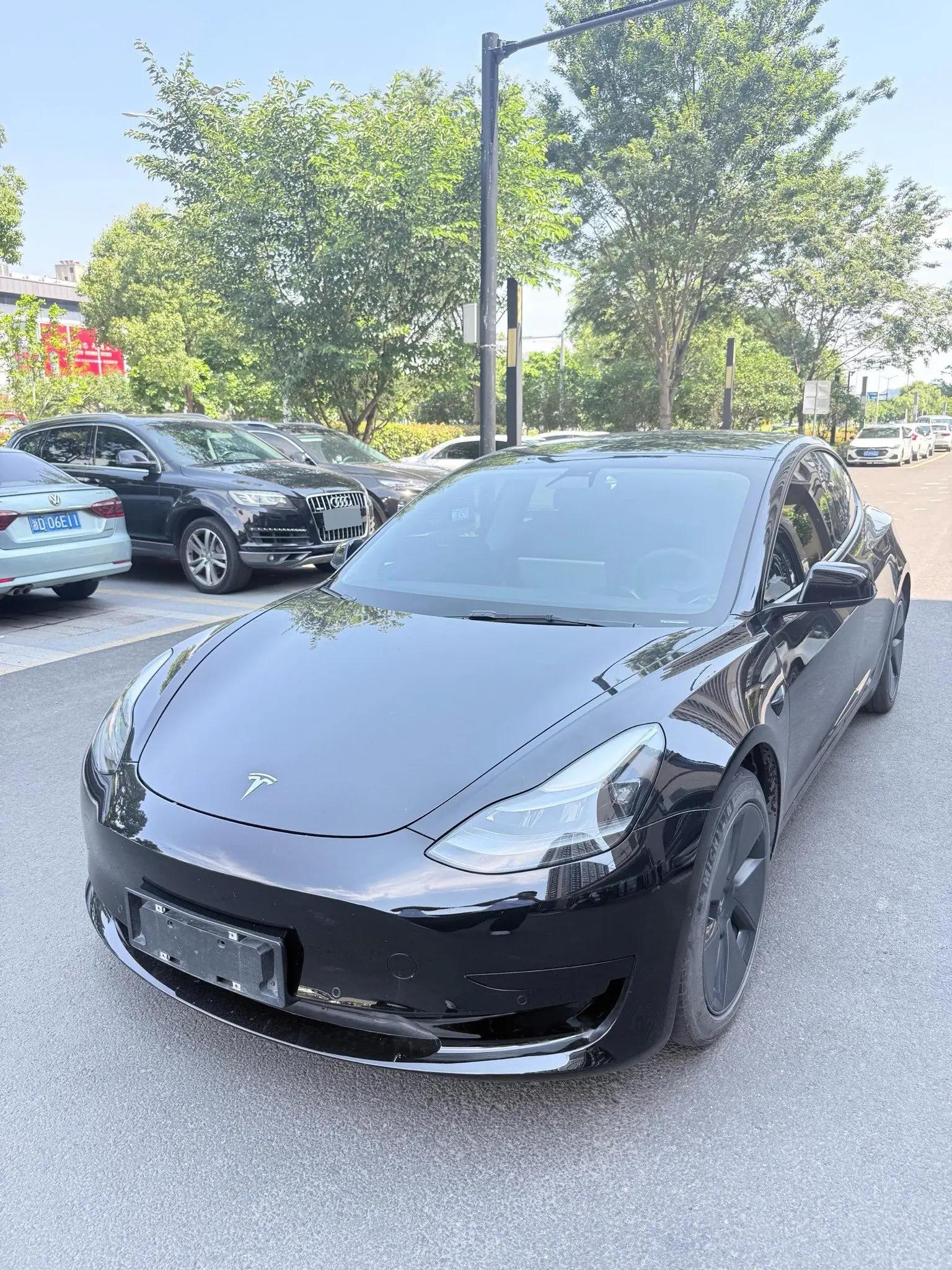 Model 3 2021 model facelift standard endurance rear drive upgrade 3D1