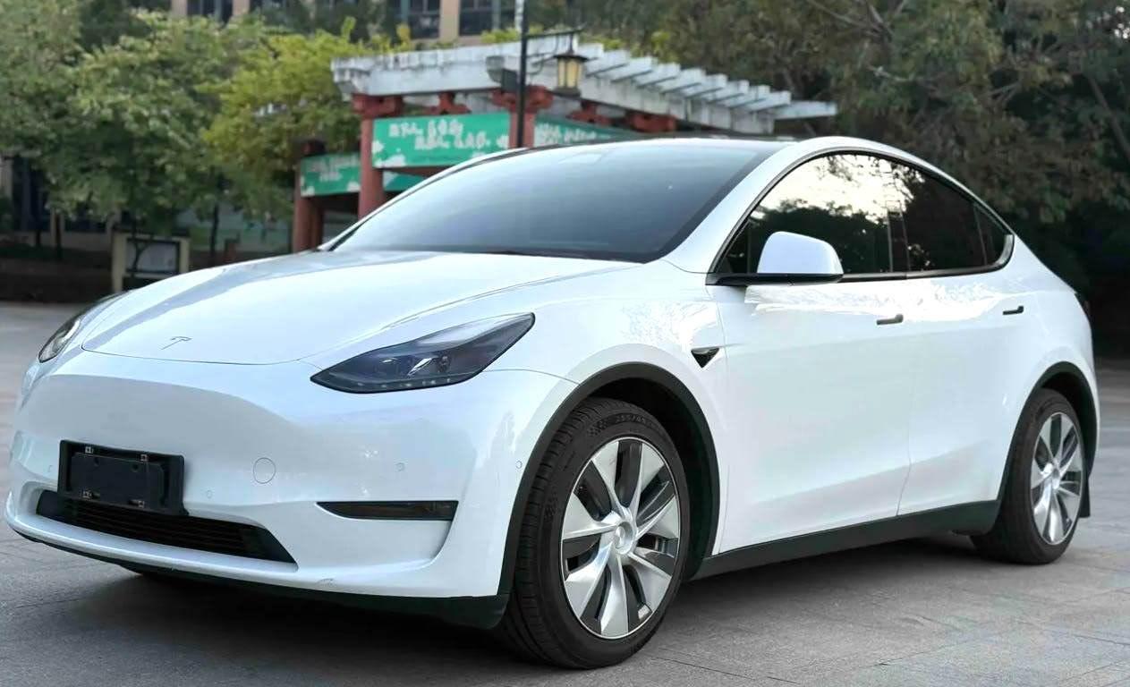 Model Y 2021 Standard Endurance Rear Drive Edition