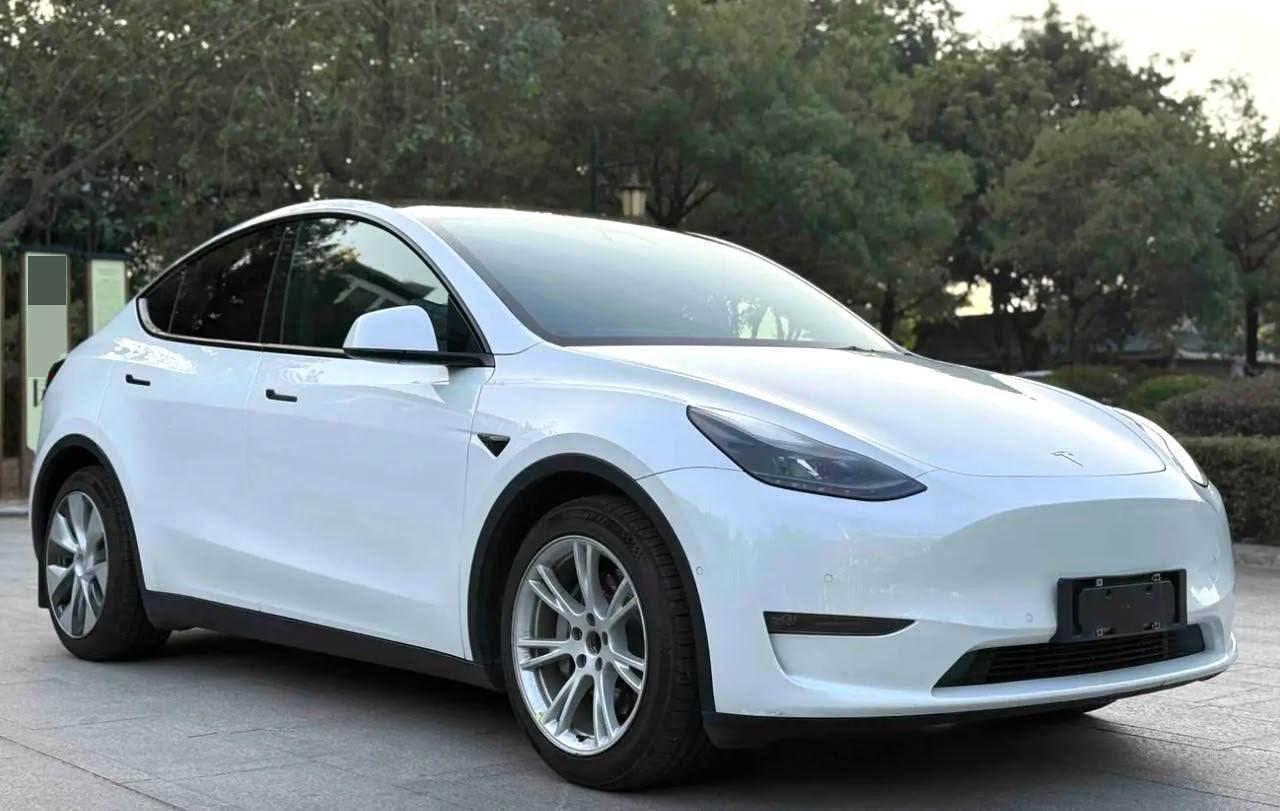 Model Y 2021 Standard Endurance Rear Drive Edition 2