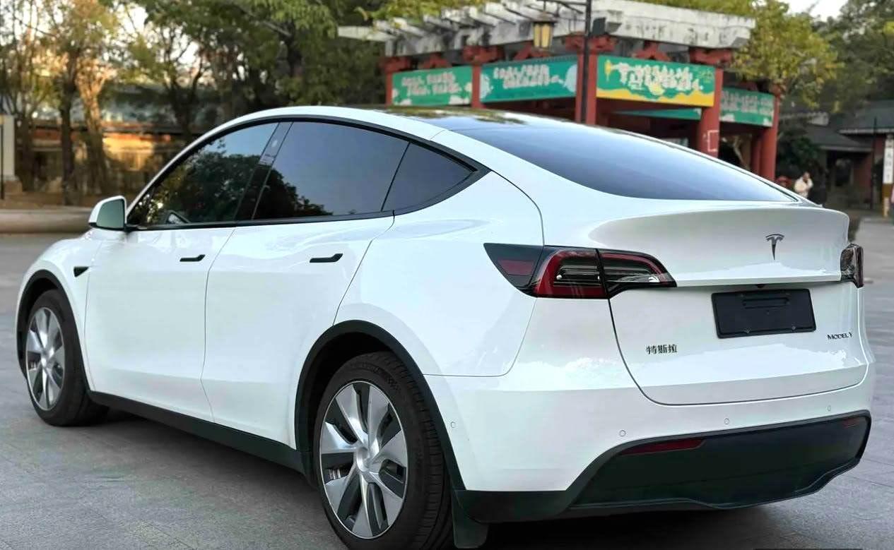 Model Y 2021 Standard Endurance Rear Drive Edition 6