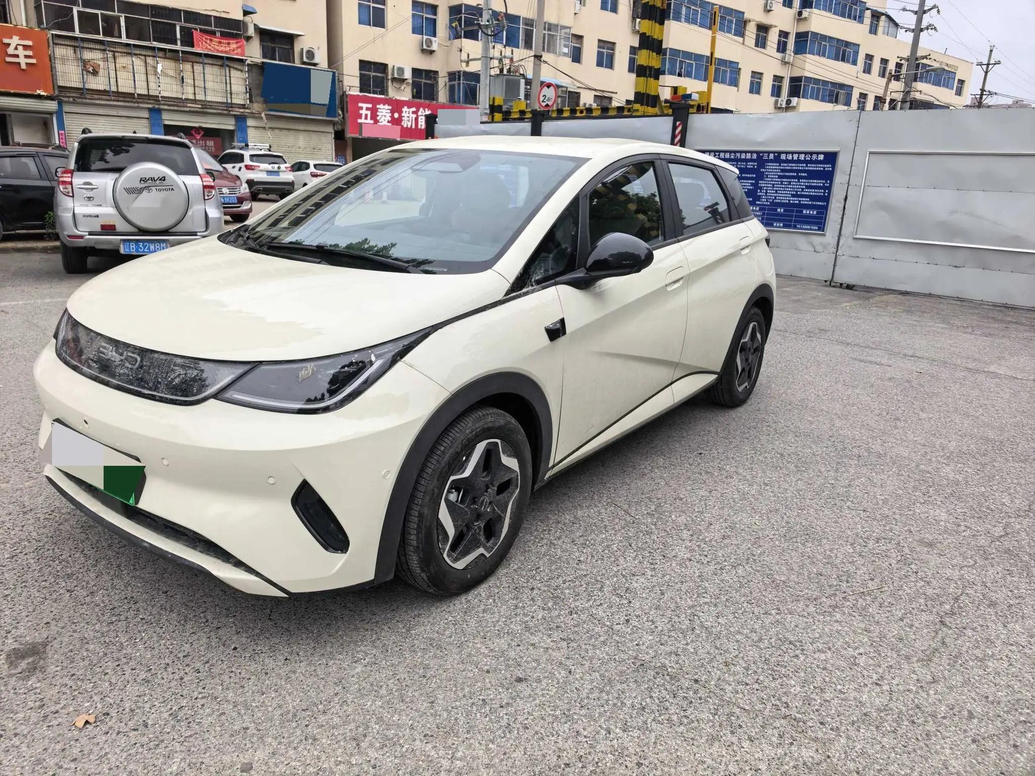 BYD 2025 Dolphin Intelligent Driving Edition 420km Free Edition Automatic