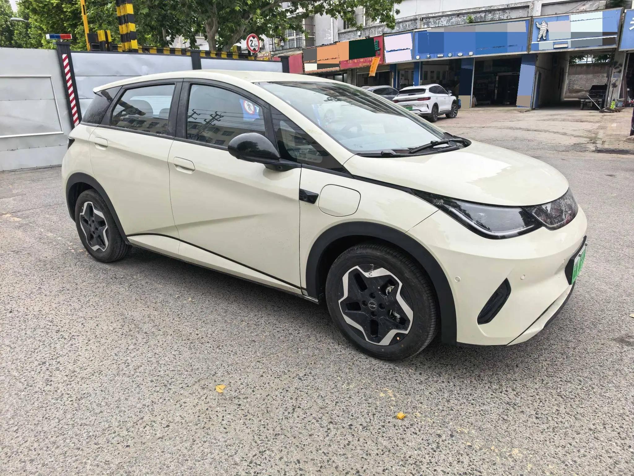 BYD 2025 Dolphin Intelligent Driving Edition 420km Free Edition Automatic 2