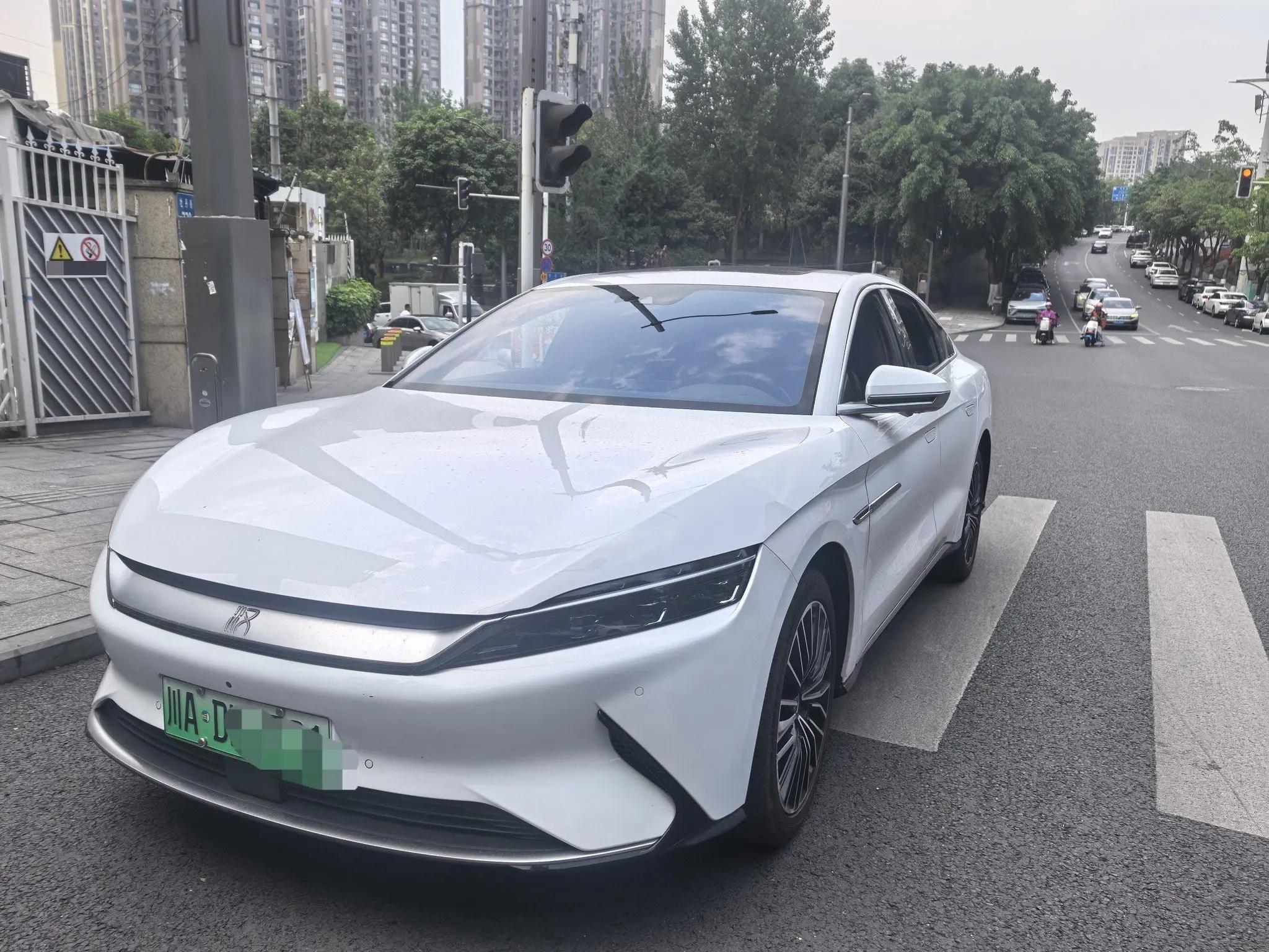 Han 2021 EV Standard Endurance Luxury Model