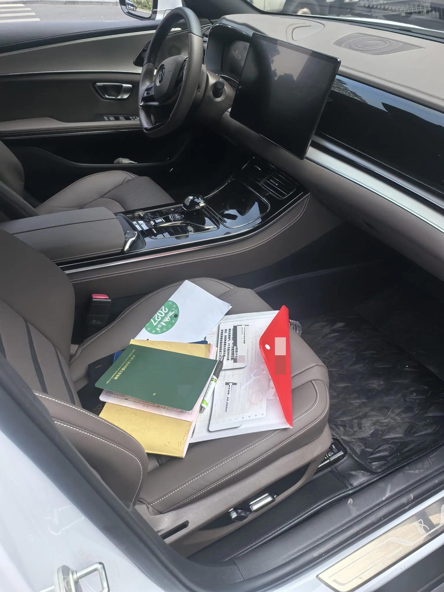 Han 2021 EV Standard Endurance Luxury Model 6