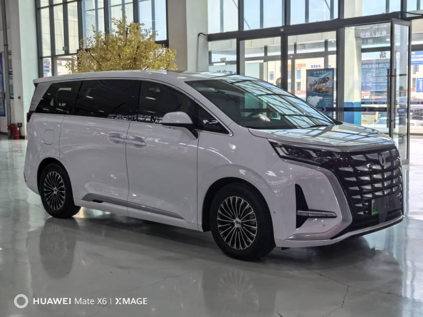 Denza D9 2022 DM-i 970 four-wheel drive flagship 5