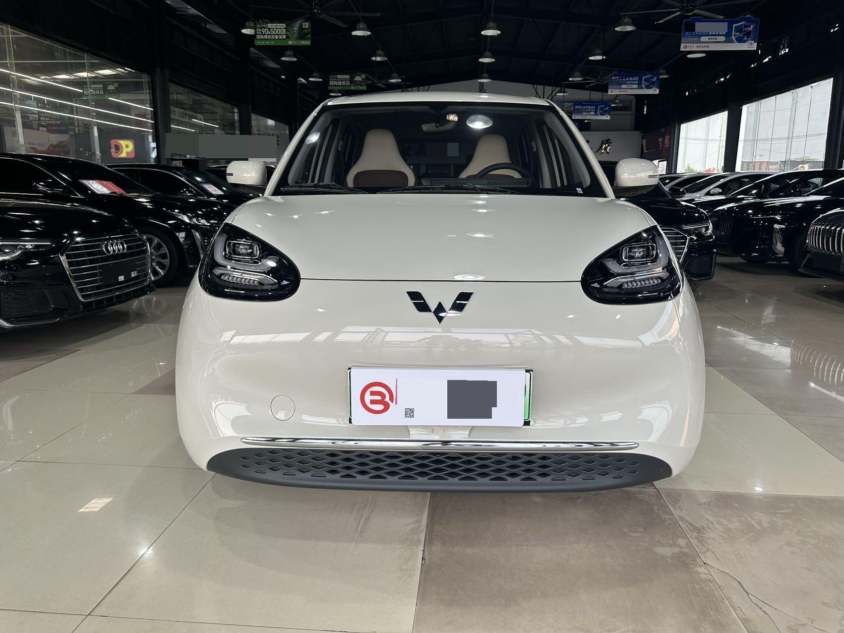 WuLing Plantronics 2024 333km Pleasant 2