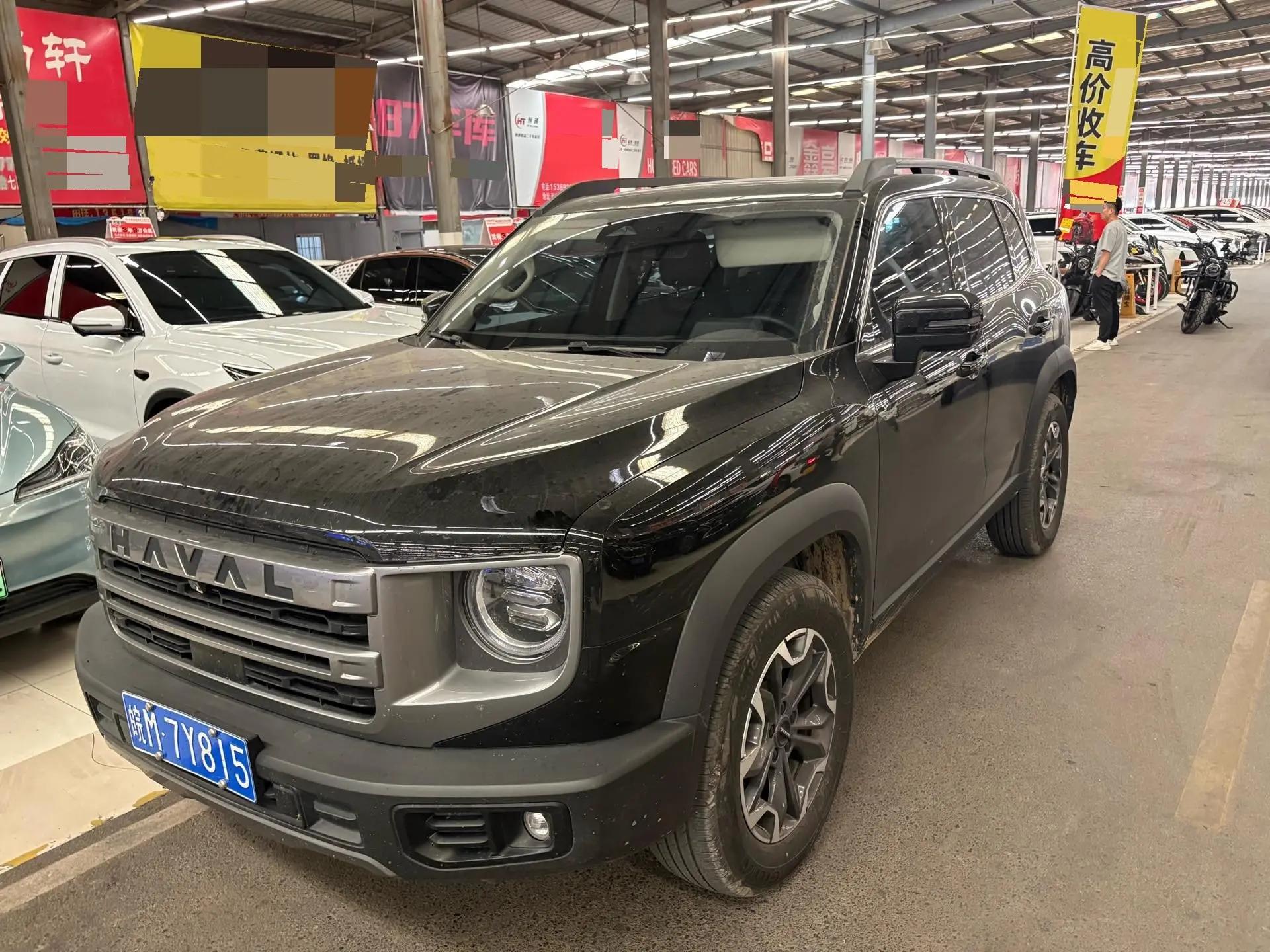 Haval 2024 big dog 2.0T Chinese garden dog version automatic gear