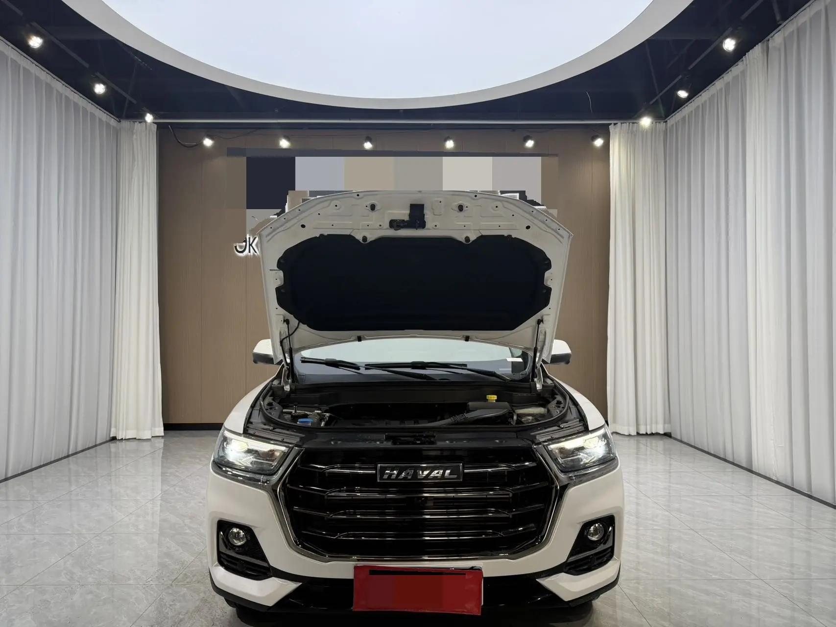 Haval H6 2021 National Tide Edition 1.5T Auto Champion Edition 15