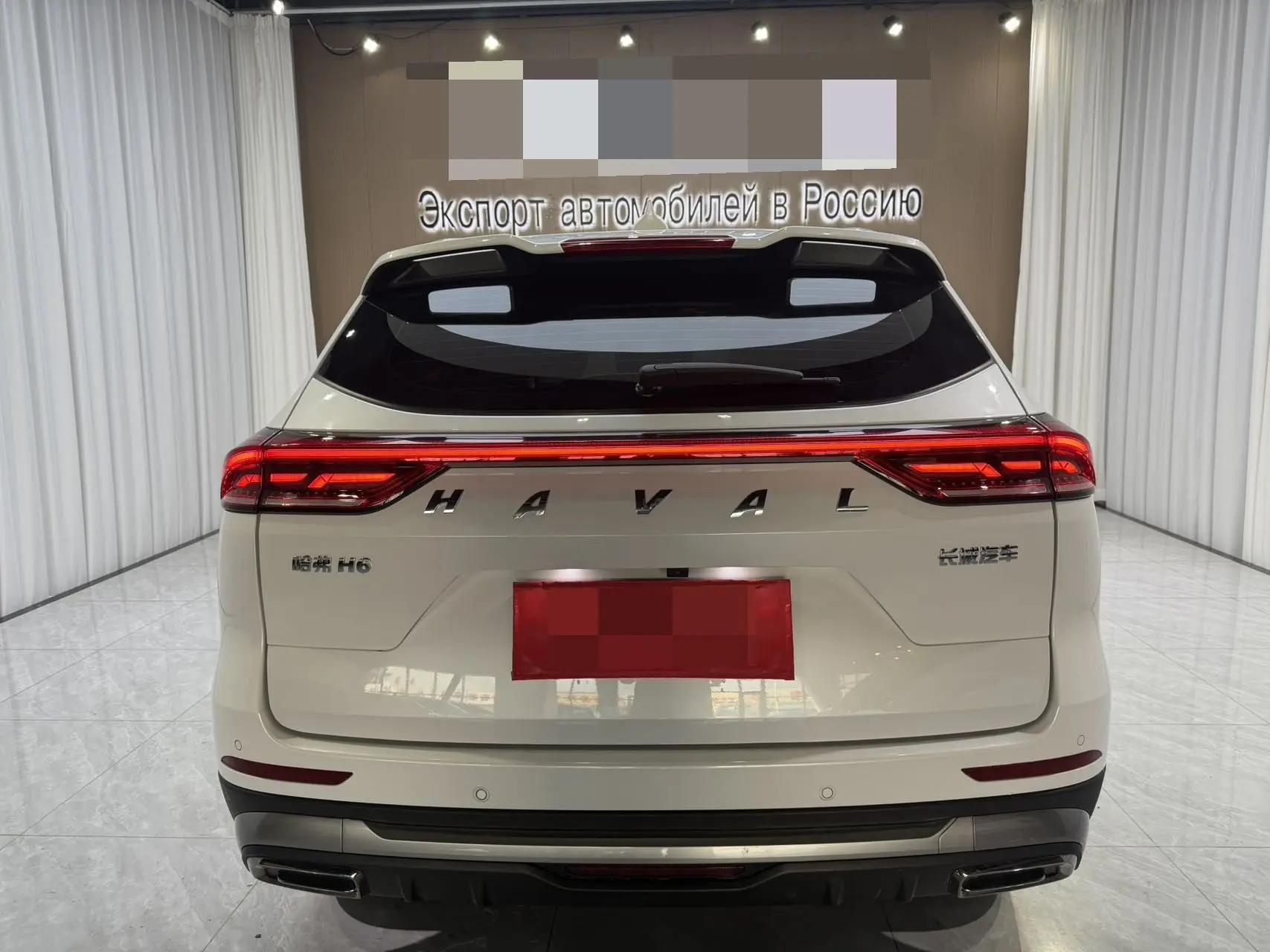 Haval H6 2021 National Tide Edition 1.5T Auto Champion Edition 5