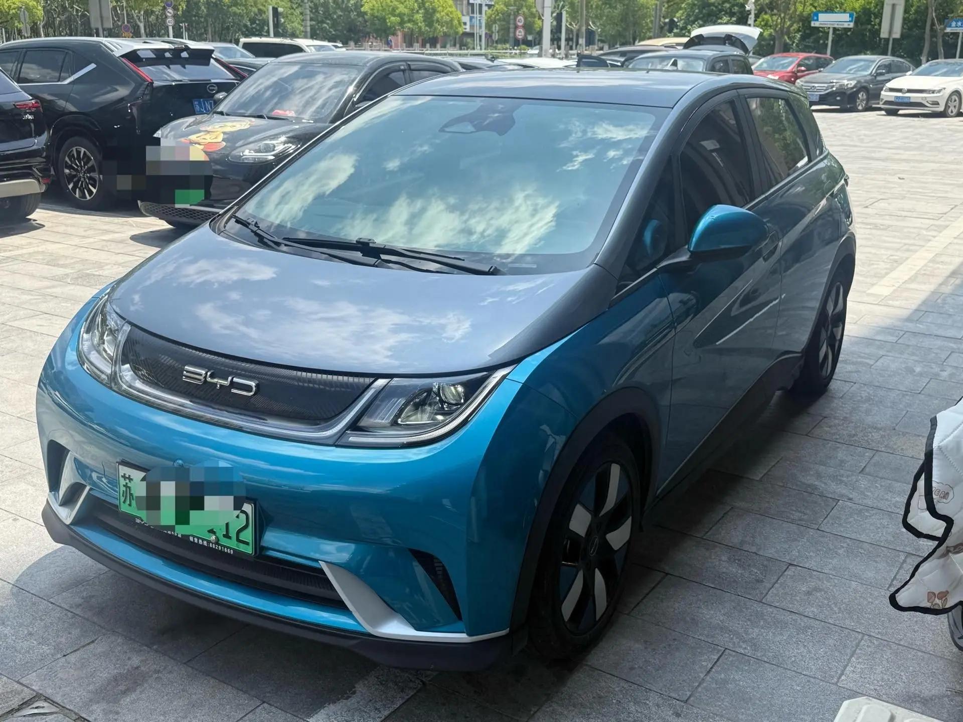 Dolphin 2021 401km Knight Edition