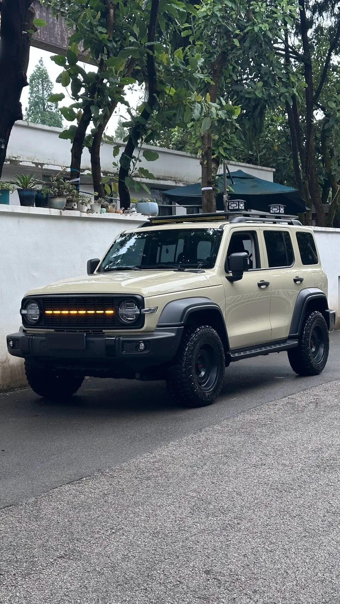 Tank 2025 Tank 300 2.4T Diesel Edition Automatic Gear
