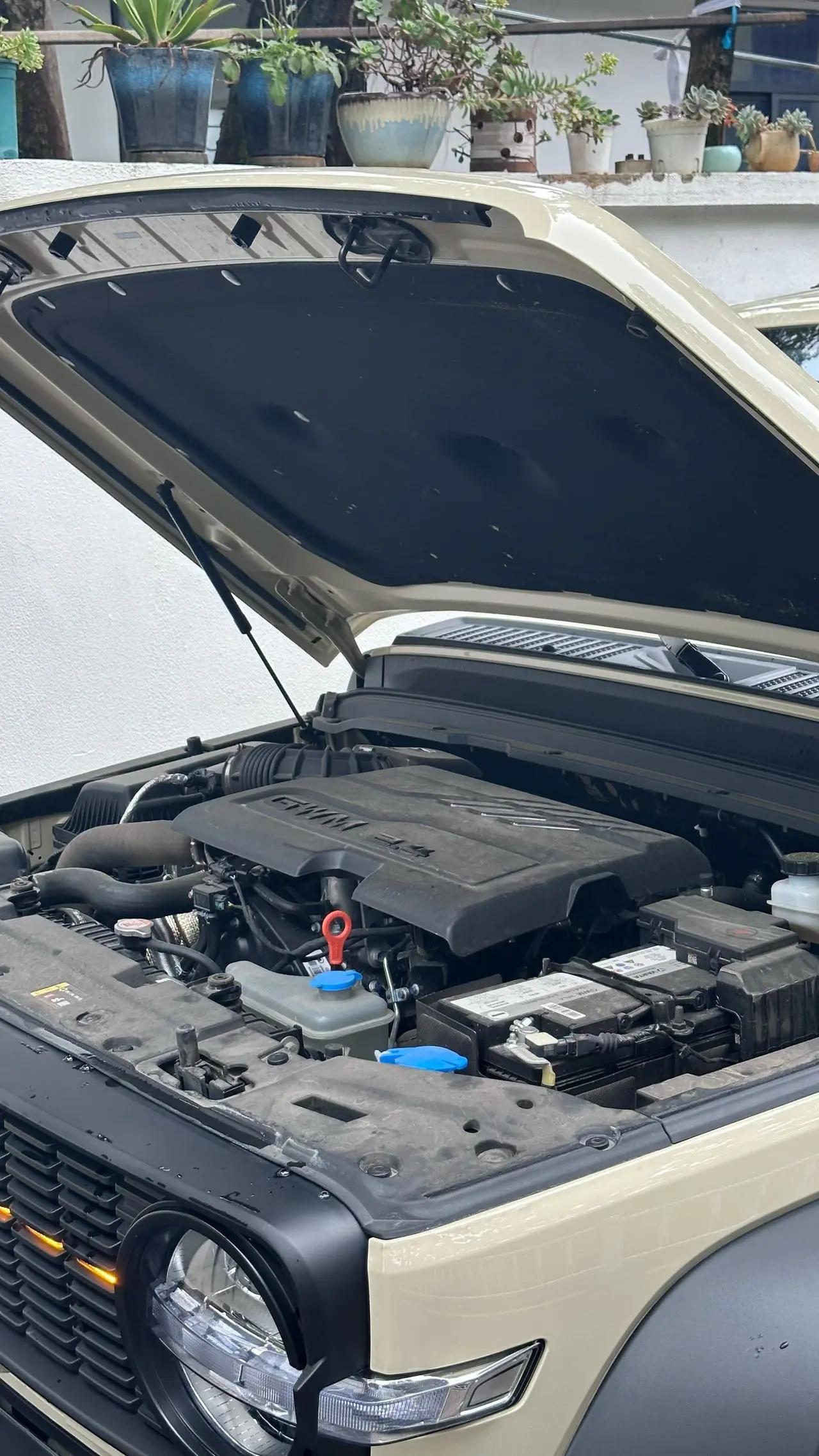 Tank 2025 Tank 300 2.4T Diesel Edition Automatic Gear 3