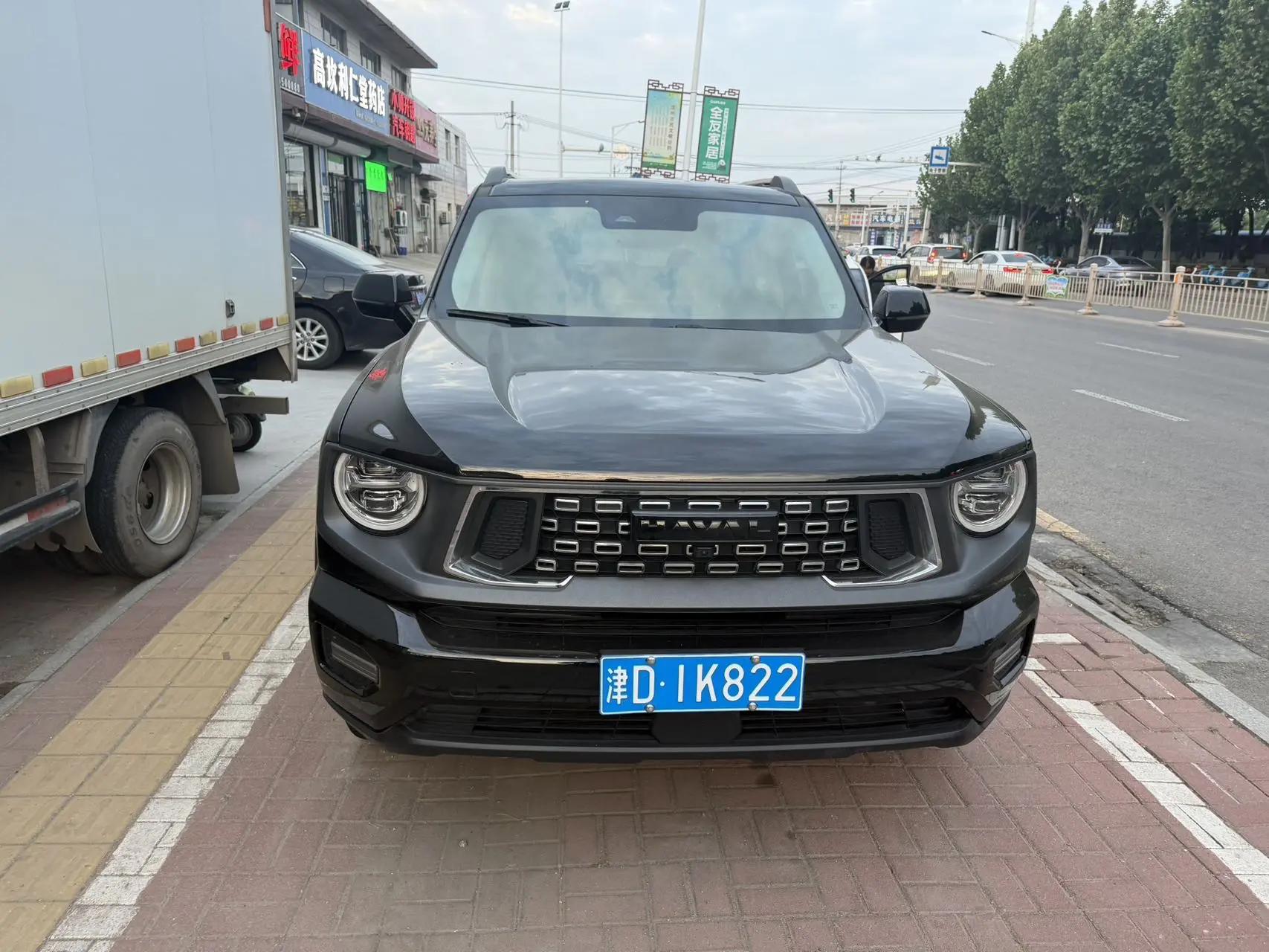 Haval 2023 Dog 2.0T Two-Wheel Drive Chao Ye Edition Plus Automatic 2