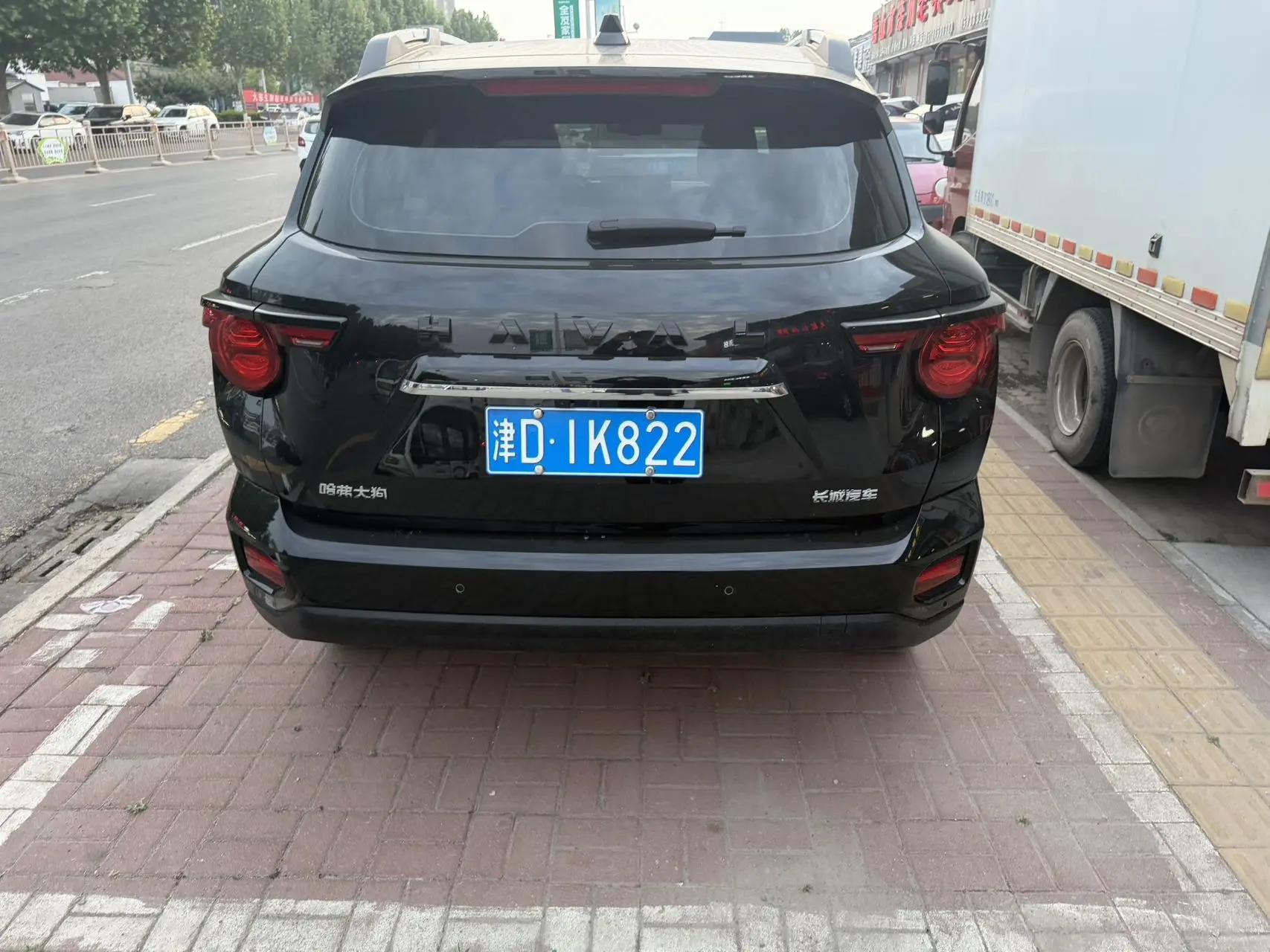 Haval 2023 Dog 2.0T Two-Wheel Drive Chao Ye Edition Plus Automatic 6