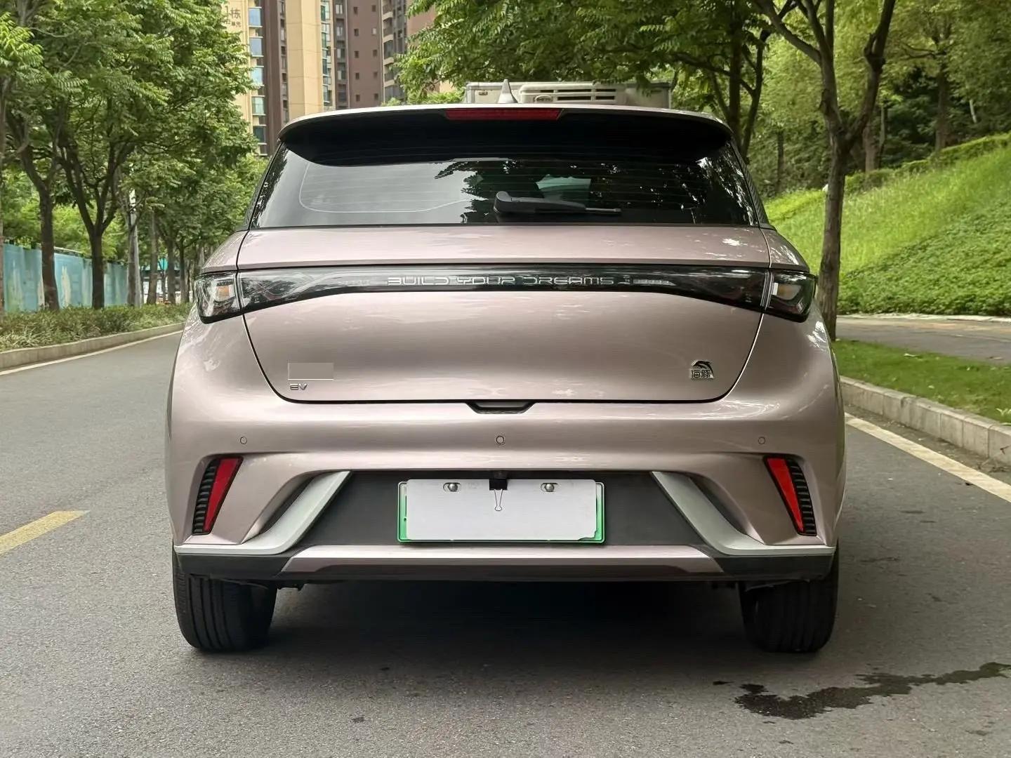 BYD 2023 Dolphin 420km Fashion Edition Automatic 2