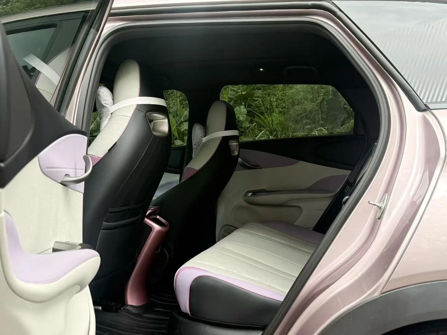 BYD 2023 Dolphin 420km Fashion Edition Automatic 6