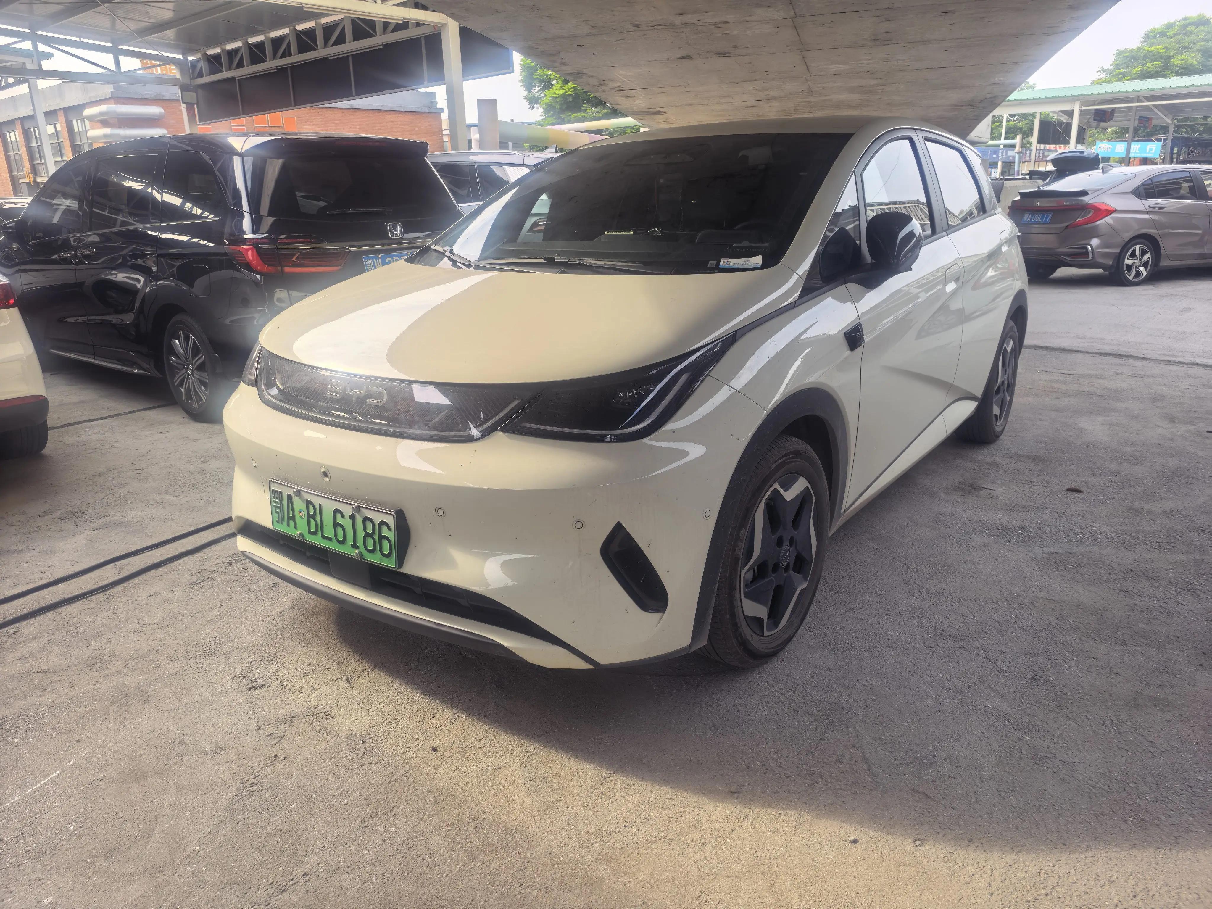 BYD 2025 Dolphin Intelligent Driving Edition 420km Free Edition Automatic